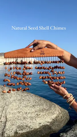 🤍 Natural Seed Shell Chimes. I like to use these very gently alone or paired with another instrument, such as a Chalice, to clear energy and soothe.  #soundhealing #soundbath #soundmeditation #chimes #soundhealinginstrument 