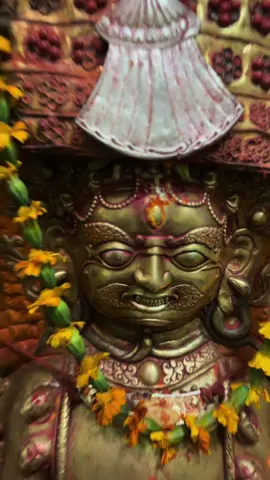 #pachalibhairab #newariculture #nepalitiktok #baja #pachali #nasaadyo #jatra #culture #dapha 