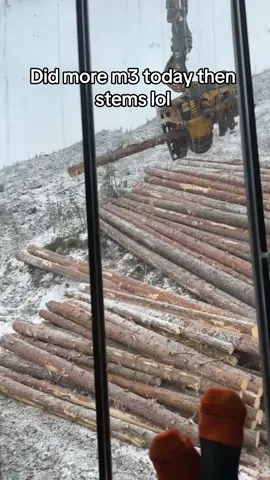 Some big wood today.  #logging #tigercatforestry #tigercat #processor #bluecollar #loggingislife 