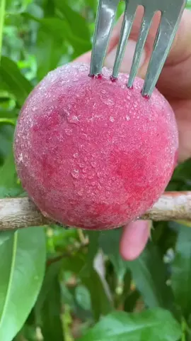 OMG😱blood peach?😋👩‍🌾#uk #usa #fruit #asmr 