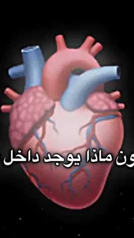 منشن_للي_تحبه #ستوريات #تصميم_فيديوهات🎶🎤🎬#صور  #،❤️❤️ #1_143_0 #متابعه_ولايك_واكسبلور_احبكم 