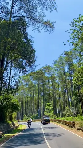 Bandung vibes, Ciater #ciater #ciatersubang #wisatabandung 