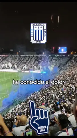 #alianzalima #alinzalimacorazon💙💙💙 #partidos#grandedecorazon #matute #al#lavictorialimaperu #gronesdecorazon 