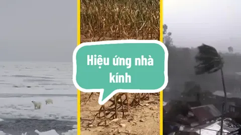 HIỆU ỨNG NHÀ KÍNH Hiệu ứng nhà kính là một vấn đề mang tính toàn cầu gây ra mối đe dọa nghiêm trọng đến tương lai loài người nguồn: nationalgeographic #nationalgeographic #biendoikhihau #co2 #khoibui #earth #suthatthuvi #CapCut 