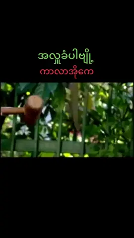 #အလှူခံပါဗျို့ _ဝေမိုး