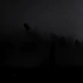 တစ်ဘဝတစ်ခါ // အကြည်တော်#foryou #fpyシ #fppppppppppppppppppp 