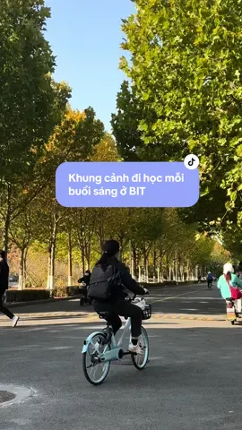 Nay trời đẹpp, khung cảnh đi học mỗi sáng ở trường tuii. #bắckinh #vlogduhoctrungquoc #duhocsinhtrungquoc #TikTokAwardsVN2023 #duhocsinh #congnghebackinh 