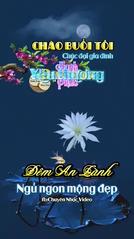 #🔶️Chúc mn buổi tối vui vẻ, ngủ ngon, mơ đẹp ạ.