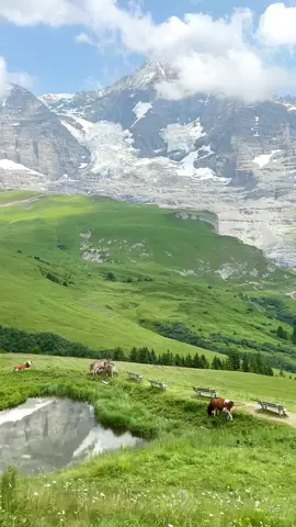 20 million viewers and still counting🥹 #switzerland #traveltiktok 