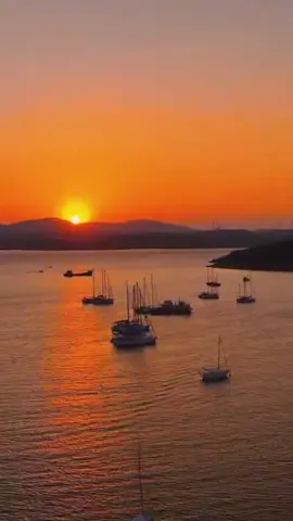 #fypシ #JulioIglesias  #ElAmor  #musica #scenery  #Pop 