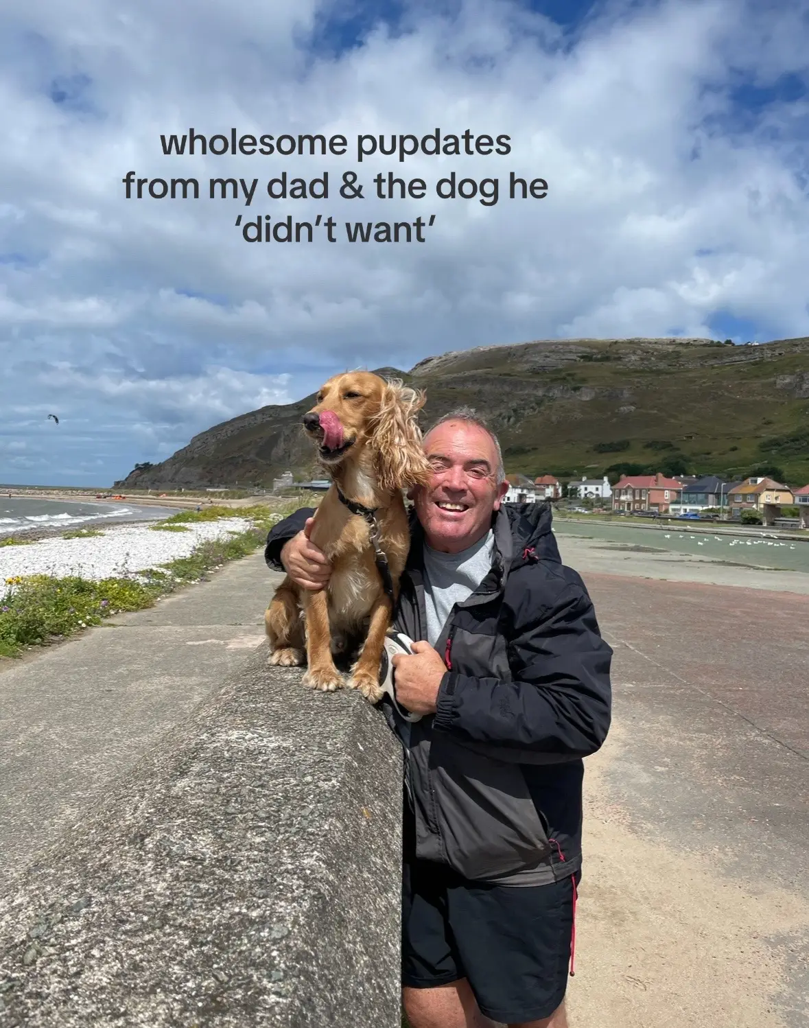 My dad loves our doggo #thedogtheydidntwant #mydadandhisdog #manandhisdogs #mansbestfriend #cockerspan #cockerspanielsofinstagram #puppycockerspaniels #wholesometexts #bestdadinthewholeworld 