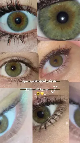 #عيون #عيونها #ام_عيون #عيونك #عيوني #عيون_شهل #شهل #ام_عيون_شهل #العيون_الشهل #💛 