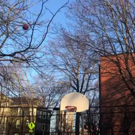 Impossible shot? #ballislife #trickshot 