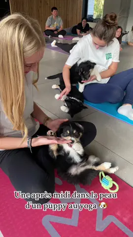 Dans la peau d’un puppy au yoga🐶 dur dur la vie… 😴 #puppy #puppyyoga #puppytiktok #puppylove #yoga #lille #puppyyogalille #fyp #foryou #foryoupage 