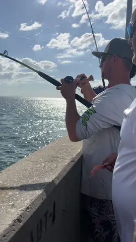 Jayway with the Little Tunny #skywaymisfits #cold #fishingislife #fishinglife #fishingtrip #fish #shimano #seaguarfluorocarbon # Harnell532 #skywayfishingpiers #littletunny #bonita #bonito #fallseason #fallrun #tampabay #fishing #2023 #fishtok #fishingtiktoks 