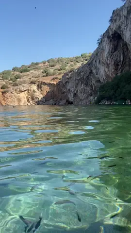 Discovering the beauty of Vouliagmeni Lake filled with little Garra Rufa fish🐟🇬🇷💙 #vouliagmenilake #vouliagmeni #greece #greecetravel 