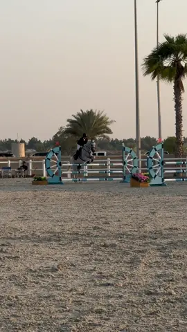 I’m Back 🫡🏇 #trend #خيل_وخياله🐎 #competition #jumping #jumpingshowhorse #horsejumping #horse #خيل_عربي_اصيل #اسطبل #قفز_حواجز #uae #قفز_حواجز #dubai #ماشاءالله #فرس 