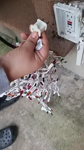 Did you know? #christmaslights #info #xmas #christmas #fyp #foryou 