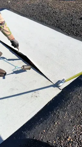 #workthisway #trabajotoxico #parejasdivertidas 