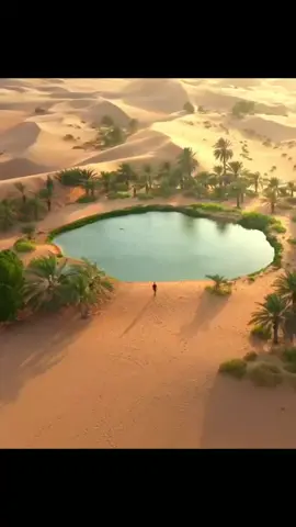 #🥰🥰💝👍♓🇩🇿🇩🇿👍🤗 #musique #relaxation #sahara#fyp #fy #pour vous#