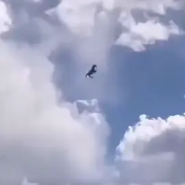 Hoy me voy al sol 🗣️‼️‼️🔥🔥 #meme #bizarrap #debodespertar🗣️ #fyp #fy #caballo 