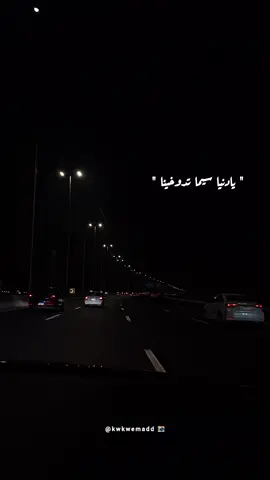 ✨️ و قلبي فايدك و ببلاش ✨️