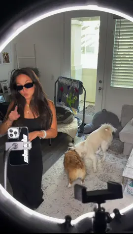 Trying to show these puppies the new track I cant stop dancing to but they had other priorities :/ #kidlaroi #jungkook 