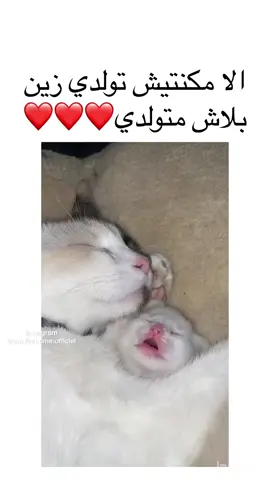 #marocaine🇲🇦 #maroc #morroco🇲🇦 #agadir #explor #explore #الشعب_الصيني_ماله_حل😂😂 #marocaine🇲🇦tiktok #fypシ #