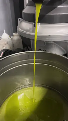 Oro di Calabria: olio extravergine d’oliva…delicato e genuino ! 🫒 #AZIENDAAGRICOLACASTIGLIONELUIGI #olioextraverginediolivabiologico #spremituraafreddo  #calabria #ilovecalabria