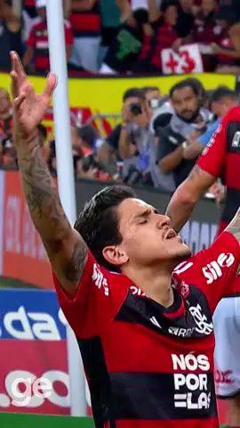 Que jogada coletiva do Flamengo! Belo gol de Pedro, o terceiro rubro-negro diante do Palmeiras #futebol  #golaço  #golazo  #flamengo  #brasileirao  #tiktokesportes