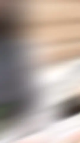 #CapCut 