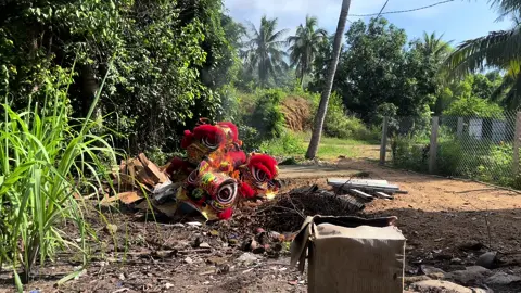Nhìn vào không còn thấy lân nữa mà là những tháng năm ta tung hoành, không biết anh em có kiên kỵ gì không nhỉ ? #lân_sư_rồng_niềm_đam_mê_bất_tận #TikTokAwardsVN2023 #xuhuong #xuhuongtiktok #lethanhphuong 
