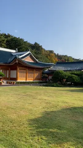 The Blue House - the President residence until spring 2022 #southkorea #seoul #thebluehouse #청와대 #cheongwadae #southkoreatravel #southkoreatravel🇰🇷 