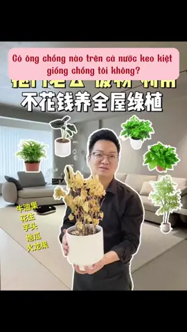 Hệ đam mê cây cảnh như tui gặp anh chồng này chắc khóc thét #douyin #review #xuhuong #giadungtienich #giadungthongminh 