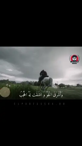 حصاني كان دلال المنايا #fyp #explorer #حظراكسبلور #الشعب_الصيني_ماله_حل😂😂 #اكسبلور #tiktoklongs #الاردن_فلسطين_العراق_سوريا #tiktokgaming 