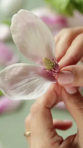 Creating clay Magnolia #clayflowers #sugarflowers #flowers #creative #creator#artist #art#magnolia#flowerstalking #floralinspo #floral#florist#cakeflowers 