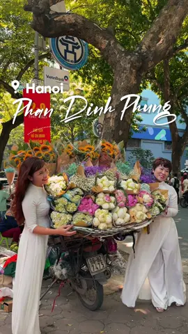 Phan Dinh Phung street is the most poetic in Hanoi with yellow leaves and flower stalls 🍂  #gowithbeer  #phandinhphung #hanoi #autumnhanoi #vietnamtravel #traveltovietnam #vietnamtrip #traveltiktok 