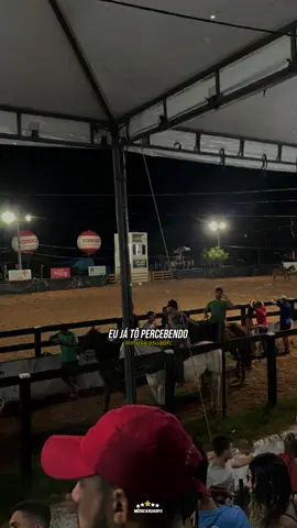 Então vem🤪🤪 #josuebomdefaixa #piseiro  #josuebomdefaixa❤ #pisadinha  #naoprecisanegar #vaquejada  #vaqueira🐴🐎🐎 #chamanabota #bomnaomel🍯 #morena #musicasuaofc #viralizou #capcut #musicas #tiktokmefezassistir #tiktok 