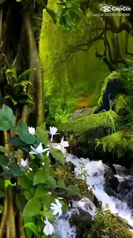 #tetaplahkuatmeskipunberat  #bijaksanalahdalamhidup  #percayalahrencanaallahlebihindah  #fypシ 