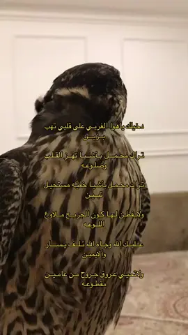 تـراك محـمـــل ٍبـأشــيـا تهــز القـلـب وضلوعه#tiktok #duett #hg #محمد_بن_فطيس_قصايد #فطيسيات🖤 #عبدالرحمان_ال_نجم 