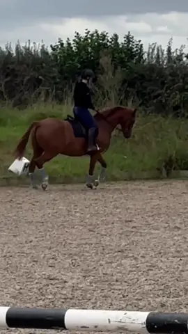 Little tb to trying prissy ❤️