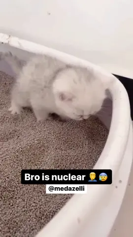 Vlog of a day in my life without my patek 💔😪 ( Compilation of my videos part 47 )