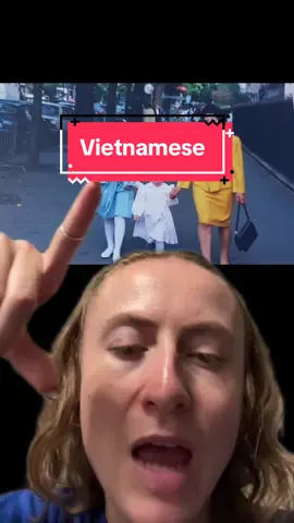 Replying to @remy.james so yes, i am, a little bit lol! #fyp #bicultural #frenchvietnamese #frenchgrandma #greenscreen 
