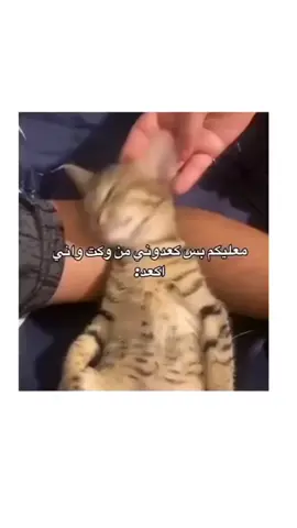 #معليكم_بس_گعدوني_من_وكت_واني _اگعد