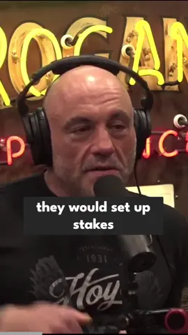 Terrifying crocodile attacks #viral #podcast #motivation #fyp #joerogan #joeroganpodcast #joeroganclips #joeroganfamily #joeroganedit