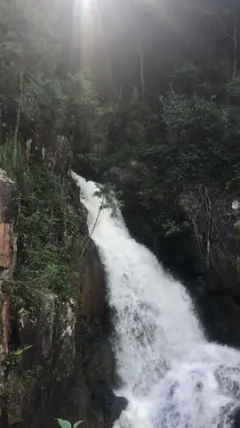 Tour Đà Lạt - Nha Trang. Phần 1 Cần Thơ - Đà Lạt chuyến đi bão táp ( KDL Đá Tiên, Datanla, Hoa Sơn Điền Trang… ) full bên Youtube nha ae #xuhuong #cantho #dalat 