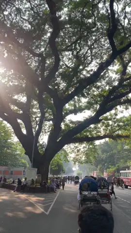 Utshorgo 🩵#CapCut #tiktok #akibkhan #fyp #iphone #dhaka #foryou #weather #rickshawride 