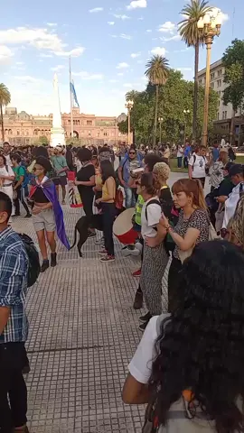 8 de Noviembre, Día de los y las afroargentinos/as y de la cultura afro!!! Marchamos en homenaje a María Remedios Del Valle. Decimos NO AL RACISMO #argentinanegra #afroargentinos #afroargentina #discriminacion #argentina #fyp #viral #viralvideo #mariaremediosdelvalle 