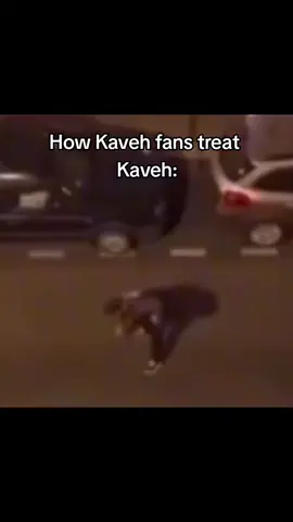 Kaveh fans: Aw i love Kaveh so much❤️❤️ Alhaitham fans: HES SO FUCKING UGLY I HOPE HE DIES⁉️⁉️ #kavetham #haikaveh #fyp #fypシ #xyzbca #genshin #GenshinImpact #genshinimpact42 
