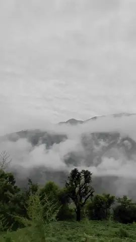 🏞️✨#farwestnepal #nature #naturevibes🌿 #गुमनाम #backgroundvideo #status #fyp #support #followmyvedio #village 